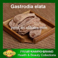 Organic Yunnan natural dried gastrodia elata, Rhizoma Gastrodiae, herbal tea tian ma for health care, anti disease